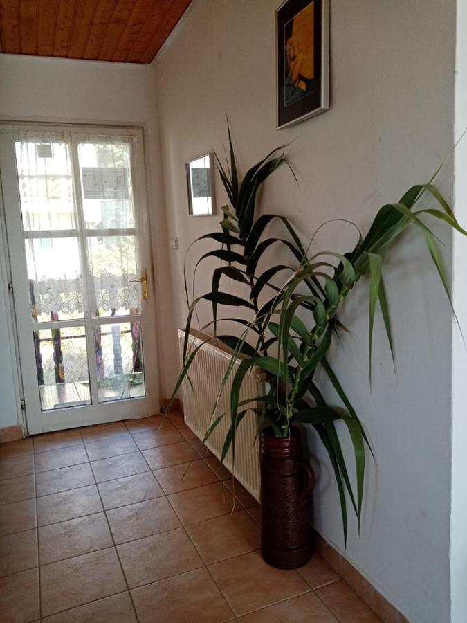 Tóra nyíló vendégház badacsonytomaj Exterior foto